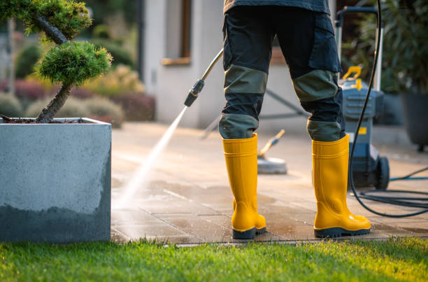  Exeter, CA Pressure Washing Pros